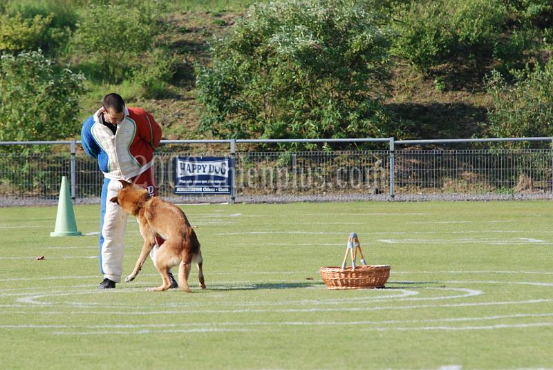3 EME SELECTIF 2009 GRANDE SYNTHE 324.jpg